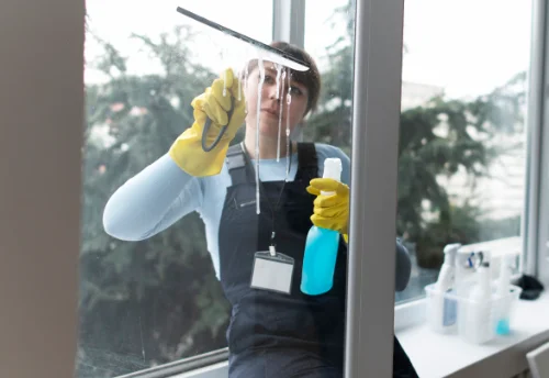Nettoyage de vitres intérieures et extérieures à Treteau